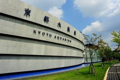 京都水族館「10周年Year」がスタート！